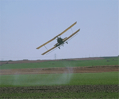 Herbicidas disseminados por avião contaminam não apenas as plantações, mas o solo e a água.