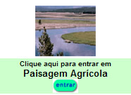 paisagemagricola