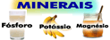 minerais2