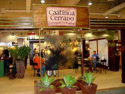 caatinga-cerrrado